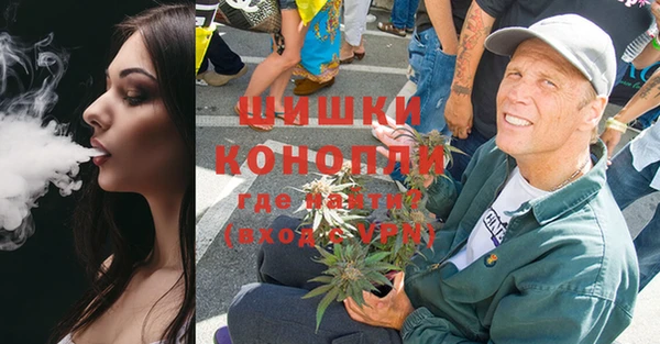 ГАЛЛЮЦИНОГЕННЫЕ ГРИБЫ Белокуриха