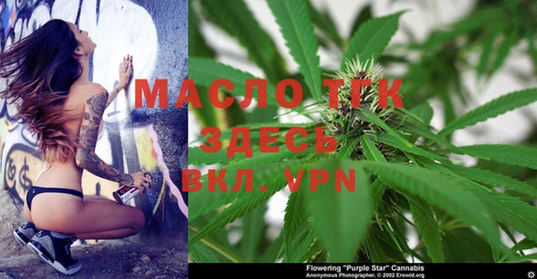ГАЛЛЮЦИНОГЕННЫЕ ГРИБЫ Белокуриха