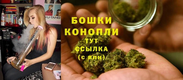 ГАЛЛЮЦИНОГЕННЫЕ ГРИБЫ Белокуриха